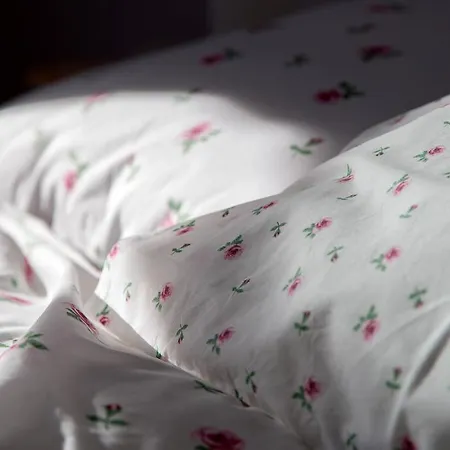 Almafas Apartmanhaz Orseg Kerkakutas